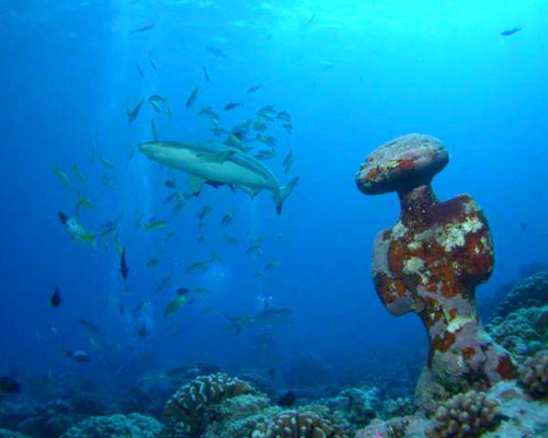 Site de plongée Tiki