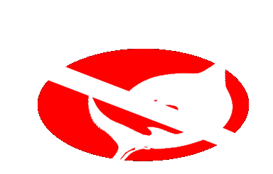 Moorea Blue Diving — Shark Diving Specialist